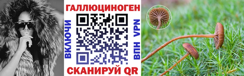 купить наркотики цена  Кимовск  Псилоцибиновые грибы Magic Shrooms 